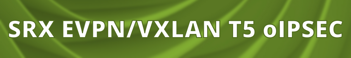 SRX EVPN/VXLAN T5 oIPSEC